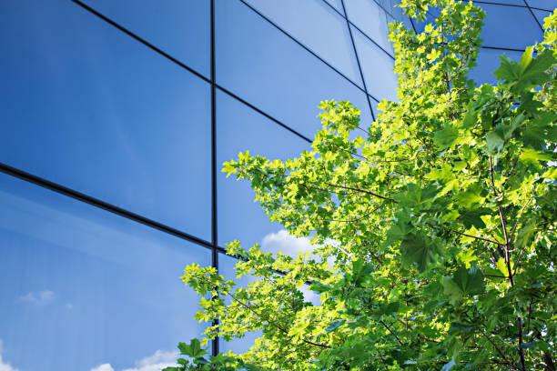 istock Green City – Green Building 1348868048