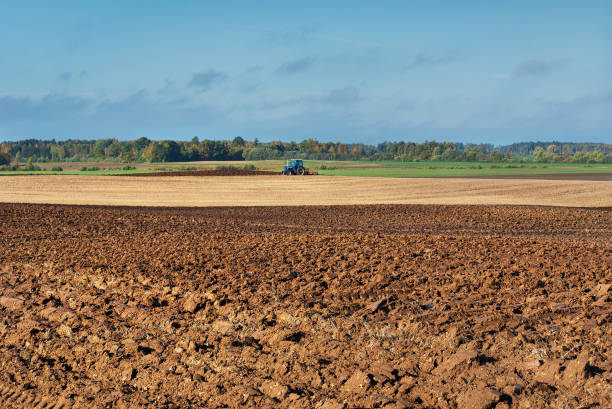 耕されたフィールドに表示されます。 - plowed field dirt agriculture field ストックフォトと画像