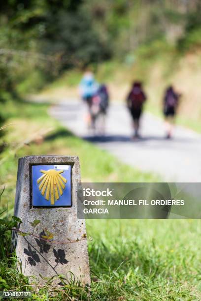 The Yellow Scallop Shell Signing The Way To Santiago De Compostela On The St James Pilgrimage Route Selective Focus Copy Space Stock Photo - Download Image Now