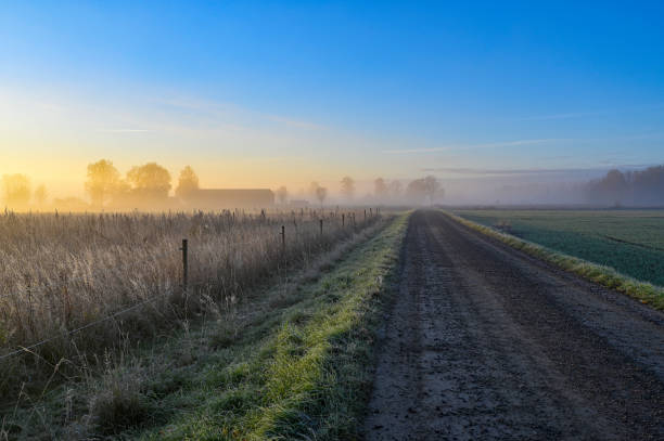 istock sunrise over fields and gravel road a misty morning 1348871573