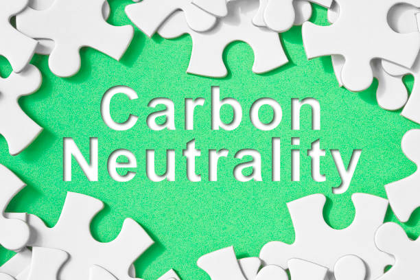 istock CO2 Net-Zero Emission - Carbon Neutrality concept in jigsaw puzzle shape 1348871781
