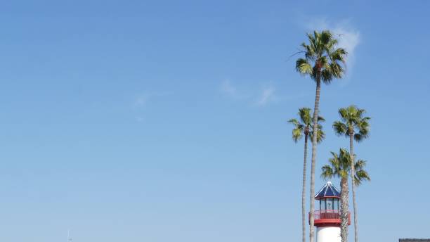 istock Lighthouse, palm trees and blue sky. Red and white beacon. Waterfront harbor village. California USA 1348875954