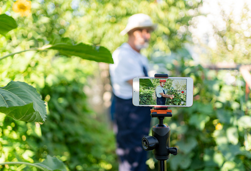 Senior Farmer Filming Vlog On Smartphone In The Vegetable Garden