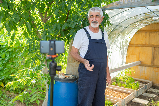 Senior Farmer Filming Vlog On Smartphone In The Vegetable Garden