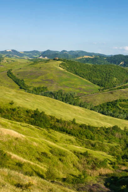 istock Rural landscape on the hills near Bologna, Emilia-Romagna. 1348884080