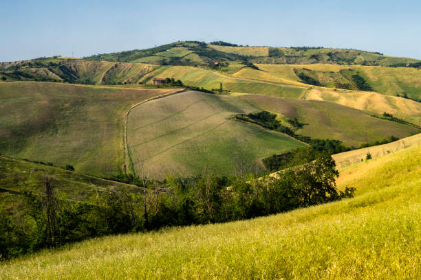 istock Rural landscape on the hills near Bologna, Emilia-Romagna. 1348884410