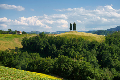 Country landscape on the hills near Bologna, Emilia-Romagna, Italy, at springtime