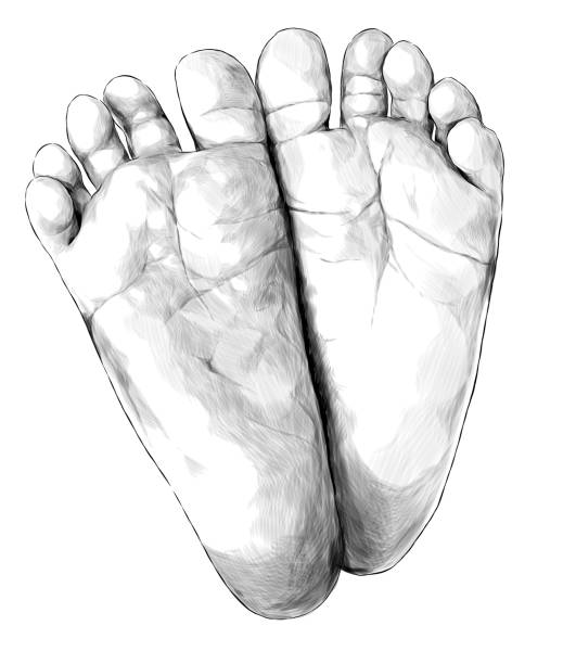 small children's feet foot forward small children's feet foot forward, sketch vector graphics monochrome illustration on white background feet up stock illustrations