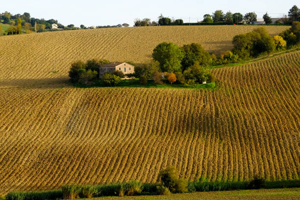 Small farmhouse in the middle of plowed fields Agricolture in Marche. Farmhouse in autumn marche italy stock pictures, royalty-free photos & images