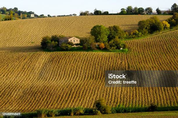 Small Farmhouse In The Middle Of Plowed Fields Stock Photo - Download Image Now - Marche - Italy, Italy, Landscape - Scenery