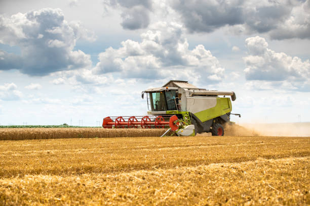 istock Combine harvester in action on wheat field. 1348896584