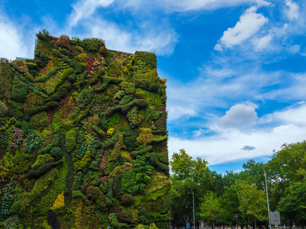 Madrid, Spain. 08/31/2021 CaixaForum's vertical garden to contribute to the conservation of the environment on Paseo del Prado in Madrid.