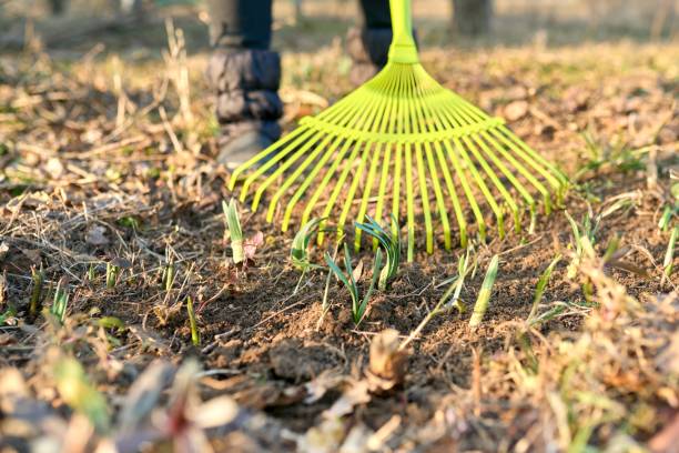 istock Spring seasonal gardening, rake cleaning backyard close-up. 1348905663