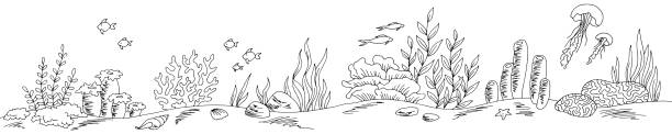 podwodna grafika morze czarno-biała długa ilustracja szkicowa - doodle fish sea sketch stock illustrations