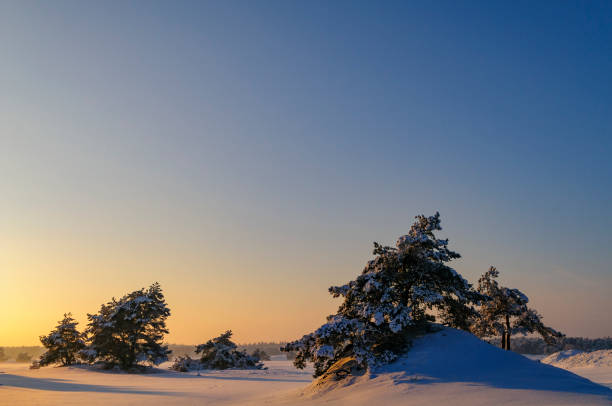 istock Snowy winter landscape in a drifting sand dune area 1348906067