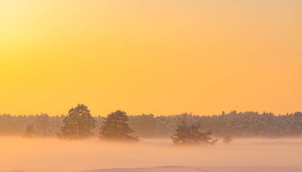istock Snowy winter landscape in a drifting sand dune area 1348906094