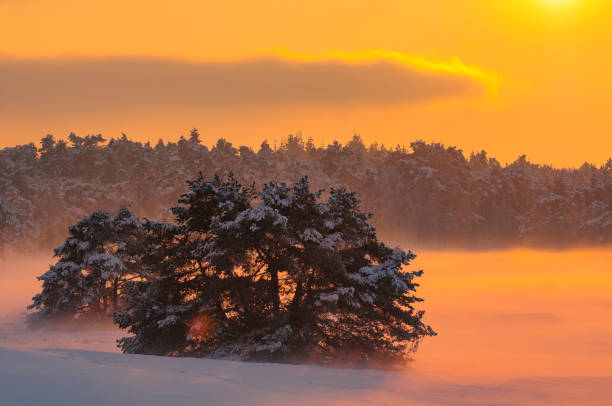 istock Snowy winter landscape in a drifting sand dune area 1348906109