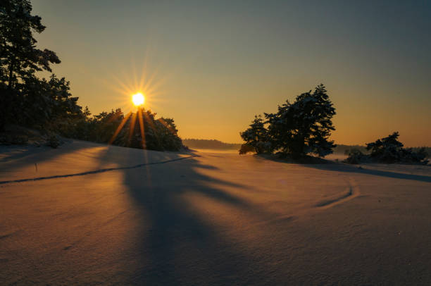 istock Snowy winter landscape in a drifting sand dune area 1348906173