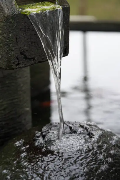 Photo of Close up of water fountain feature in garden