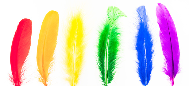 Feathers in red, orange, yellow, green, blue and purple colors isolated over white background