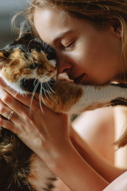 istock The girl caresses a multi-colored cat. 1348915998