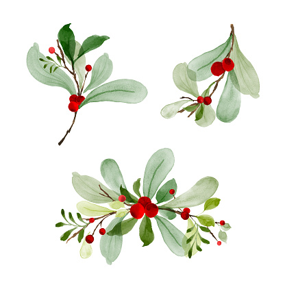 Christmas watercolor of bouquet berries and green leaves arrangings set. Hand-painted watercolor elements suitable for decorative Christmas festival, New year invitations, or greeting cards.