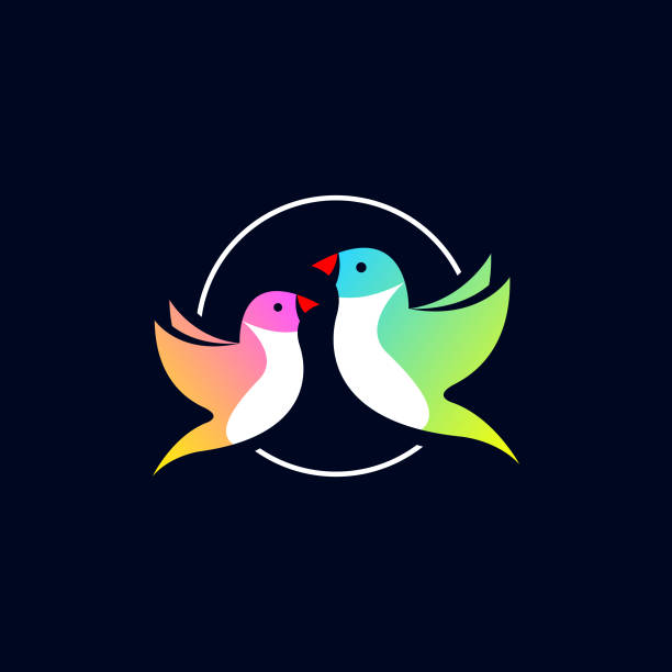 ilustrações, clipart, desenhos animados e ícones de modelo de logotipo de pássaro finch gouldiano. ilustração vetorial - parrot multi colored bird perching