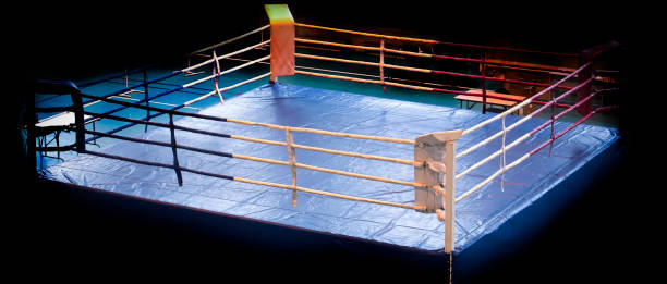 istock modern Professional boxing ring illuminated in the middle 1348934189