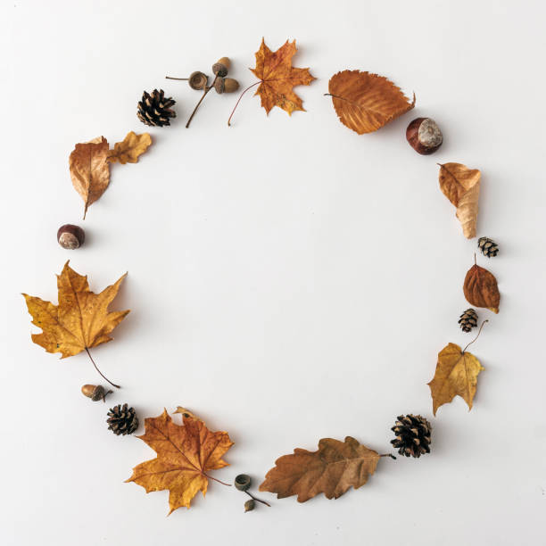 istock Round frame for text message from autumn leaves on white background, autumnal minimal concept 1348934578