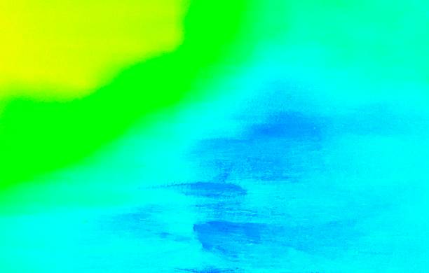 istock Blue and green in nature 1348935790