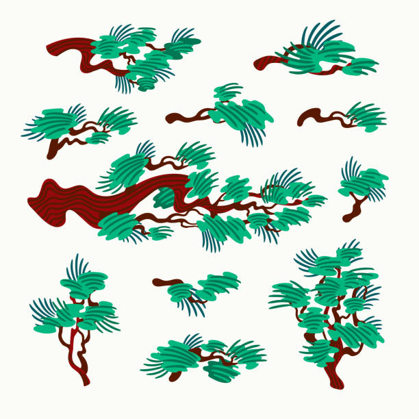 310+ Korea Pine Tree Stock Illustrations, Royalty-Free Vector Graphics ...