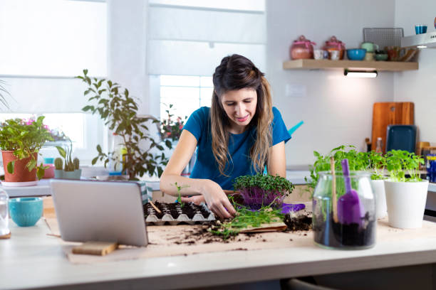istock Young woman  planting micro plants in biodegradable packaging. 1348937583