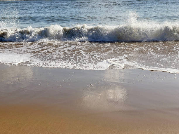 istock Breaking wave on a south coast sandy beach, Poole Bay, Dorset, England, UK 1348937981