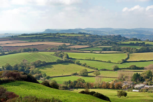 istock Rolling landscape of Shipton  Gorge, Dorset, England, UK 1348938173