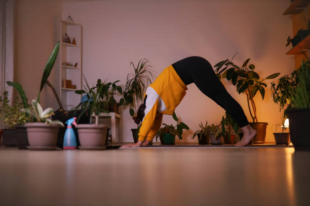 Yoga pose downward-facing dog Woman performing downward facing dog yoga pose late in the evening in her studio downward facing dog position stock pictures, royalty-free photos & images