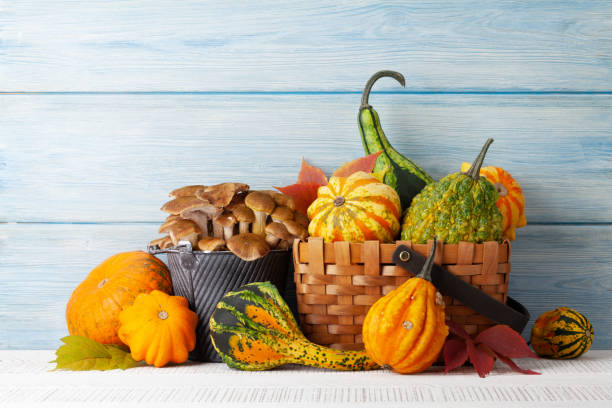 istock Various colorful squashes and pumpkins 1348940225
