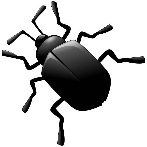 illustrations, cliparts, dessins animés et icônes de coléoptère noir (découpé) - scarab��e