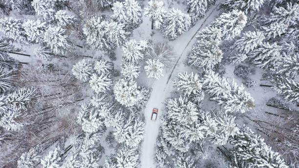 istock Car driving on winter country road 1348940472