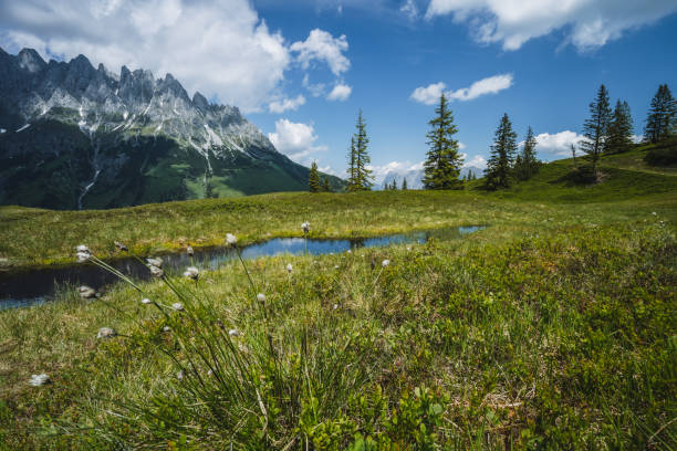 istock Mountain pond with Wilder Kaiser range reflecting in water, Tirol - Austria 1348942170