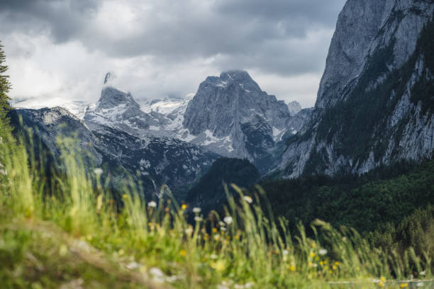 la chaîne de montagnes du sommet du dachstein et la glace glaciaire visible en été à gosau, en haute-autriche, en europe - salzkammergut photos et images de collection
