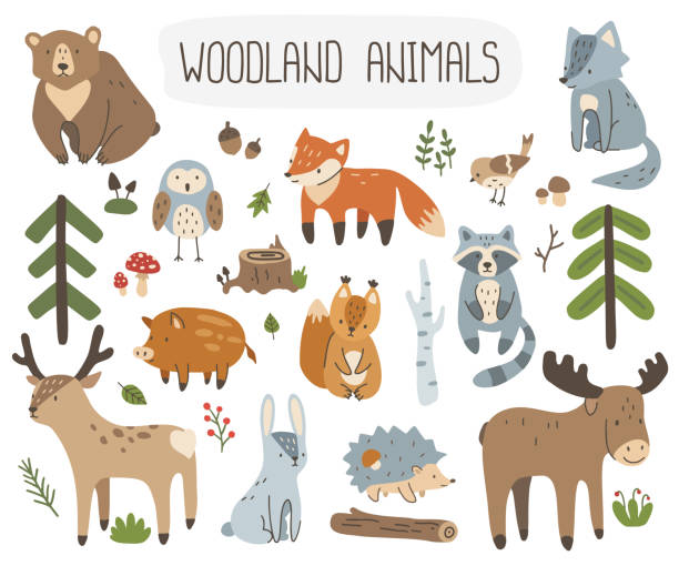 Set of cute forest animals and plants. Collection of vector woodland elements for childish design fabric, textile, wrapping, stationery. Set of cute forest animals and plants. Collection of vector woodland elements for childish design fabric, textile, wrapping, stationery. animals stock illustrations
