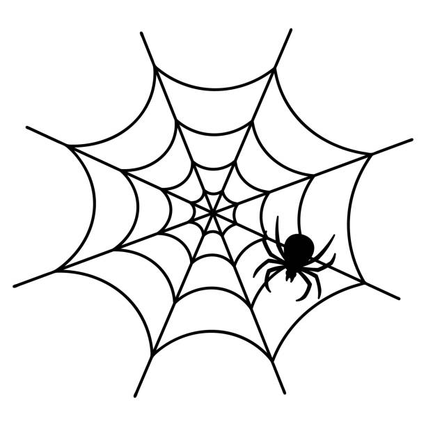 50+ White Widow Stock Illustrations, Royalty-Free Vector Graphics