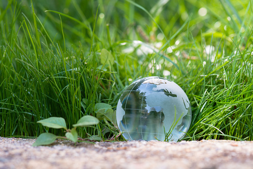 Glass globe on meadow