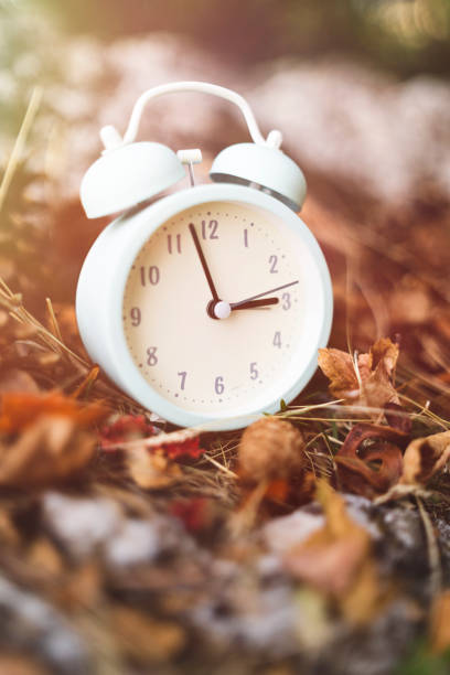 istock Close up white retro alarm clockon dry fall leaves in forest 1348951695