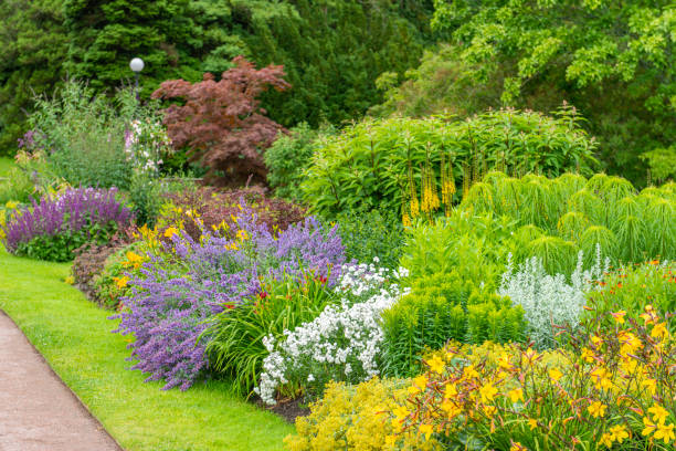 istock Summer garden in full bloom 1348951798