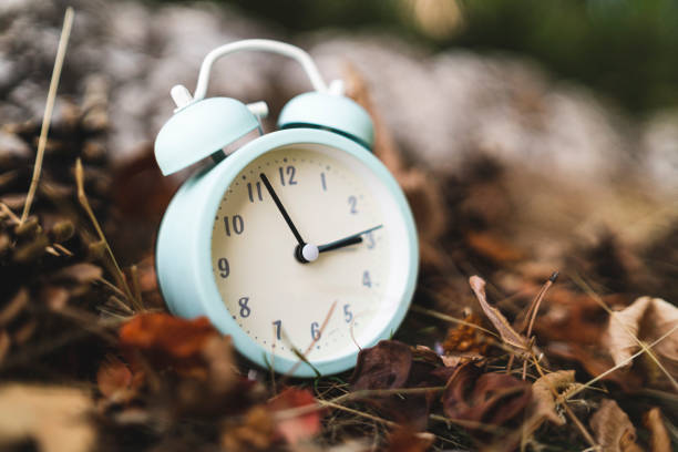 istock White alarm clock on autumn foliage, Fall back Time Change concept 1348951953