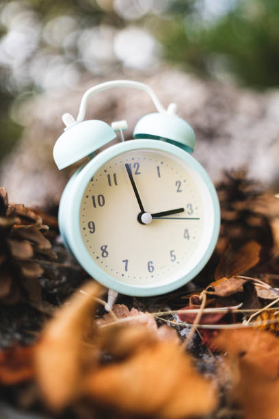istock Close up white retro alarm clock with pine cones around 1348953362