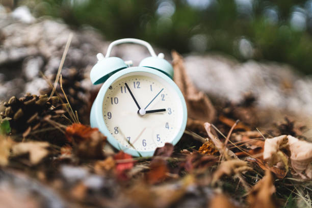 istock Old alarm clock in autumn leaves and pine cones. Autumn time change 1348962086