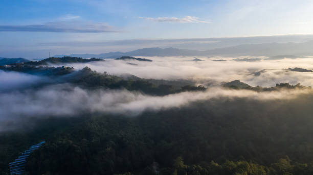 istock Aerial view of the Borneo rainforest. 1348965231