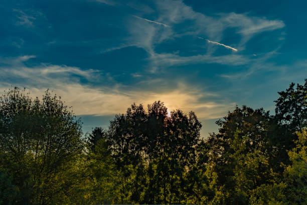 by S.G.Photographic & Visual Arts